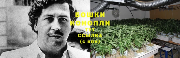прущие крисы Бугульма