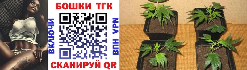 Каннабис план Полесск